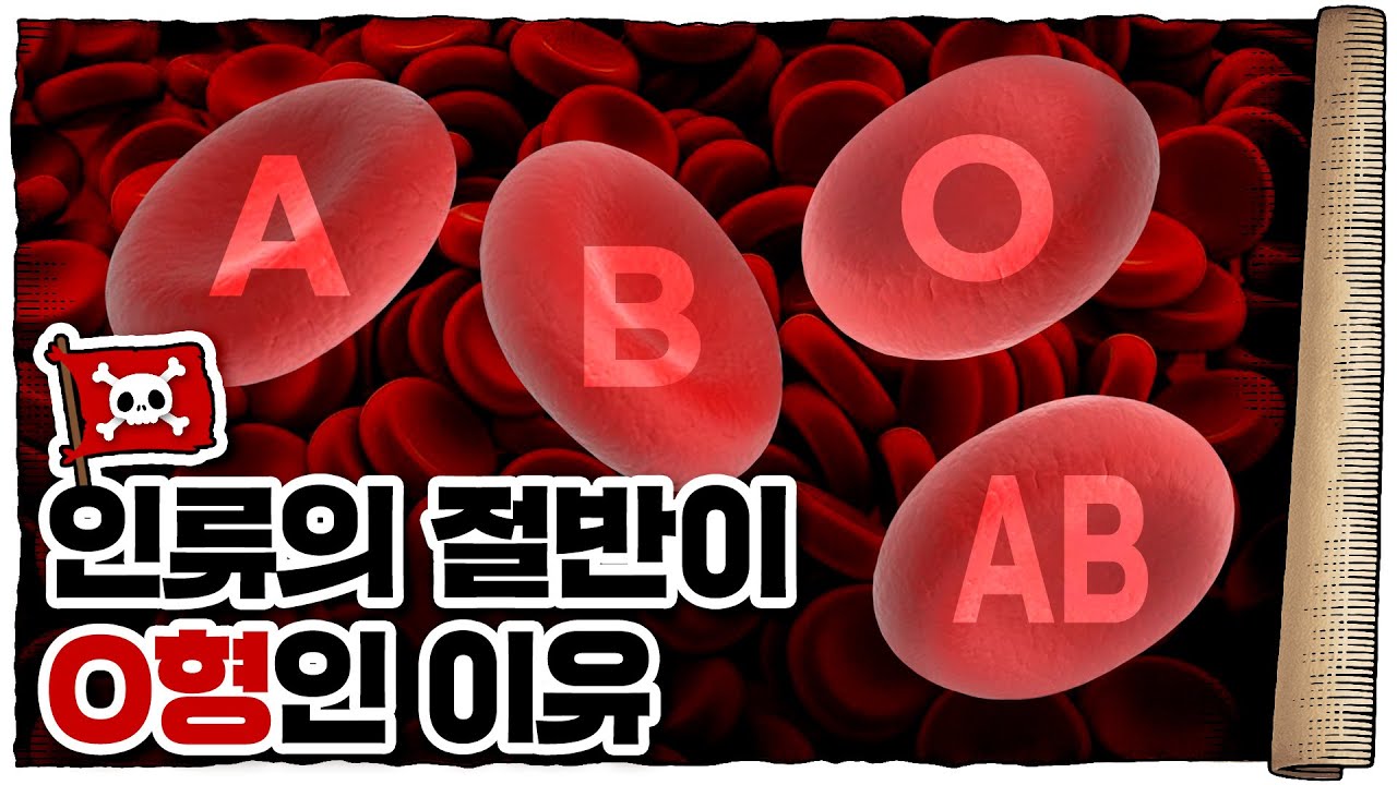 💀 나라마다 혈액형🅰️🅱️🅾️ 비율이 다르다고? / 💀 혈액형은 왜, 어떻게 존재하는 걸까?