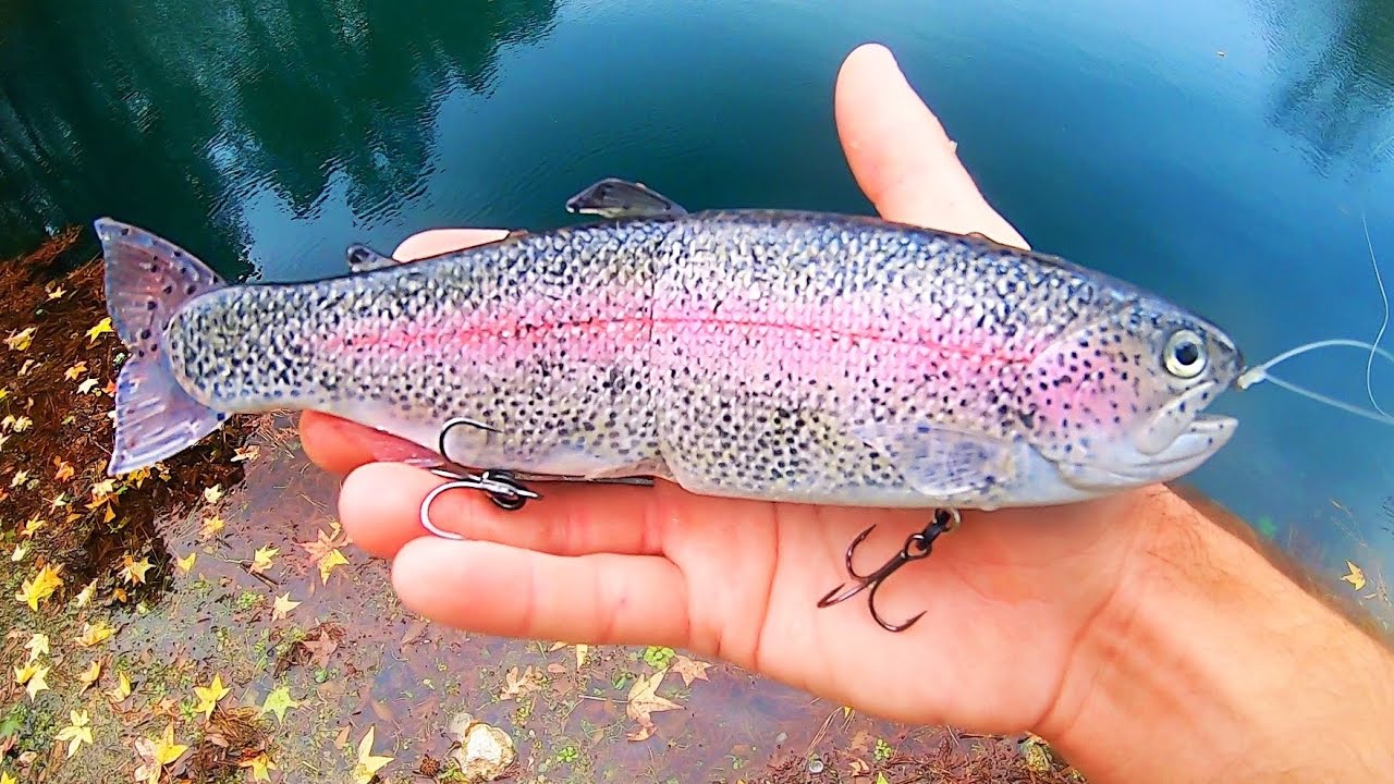 Going to a GIANT BASS LAKE RIGHT AFTER THEY STOCKED TROUT!!