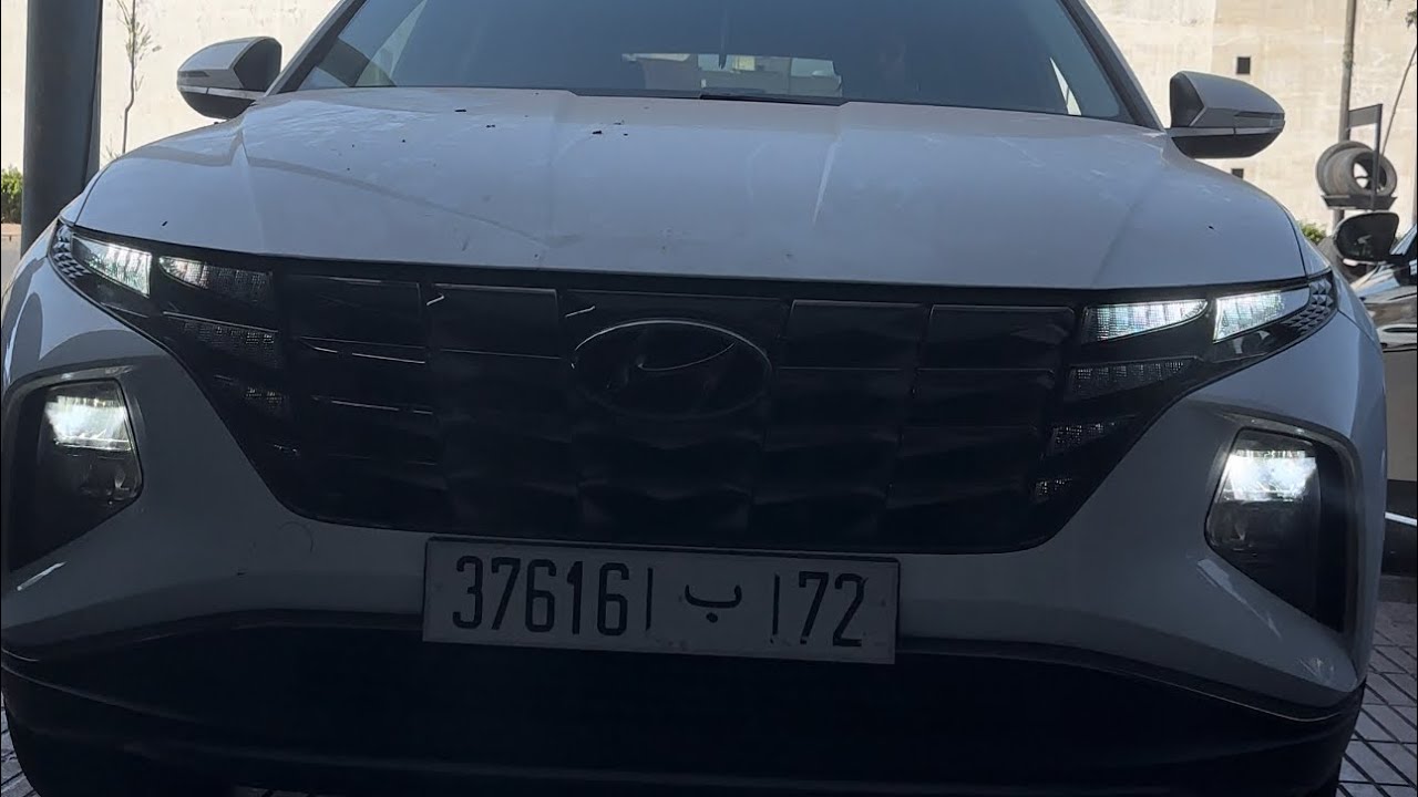 FAP & EGR Panne Hyndai Tucson