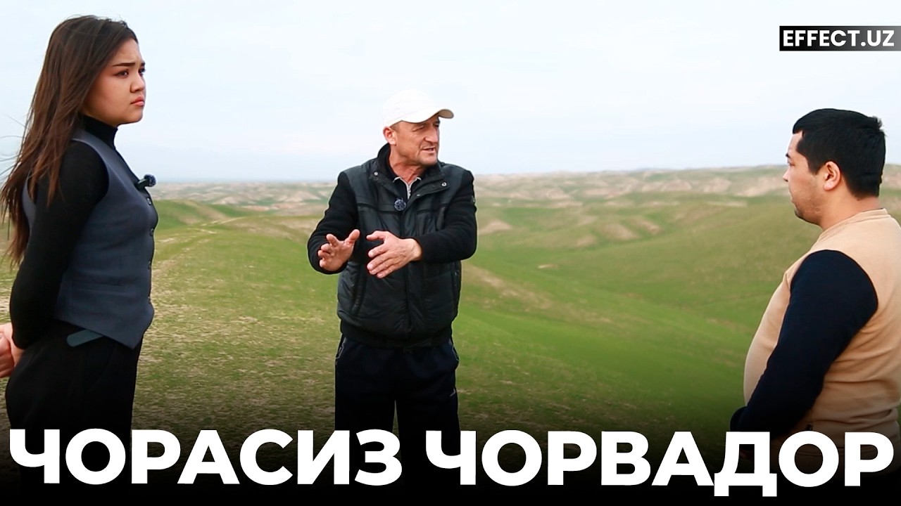 ЧОРАСИЗ ЧОРВА: СУРХОНДАРЁДА ҚОНУН УСТУВОРЛИГИ САВОЛ ОСТИДАМИ?