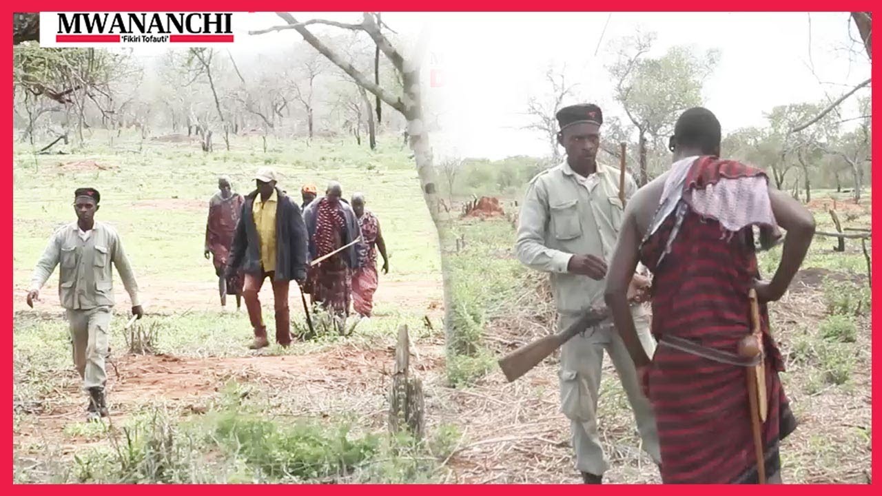 Chanzo cha migogoro ya ardhi Kilindi hiki hapa, mbunge aonya