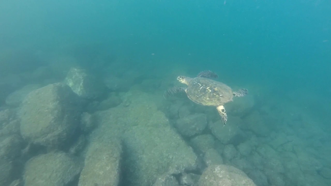 Bah&iacute;a Tangolunda, Huatulco, Oaxaca