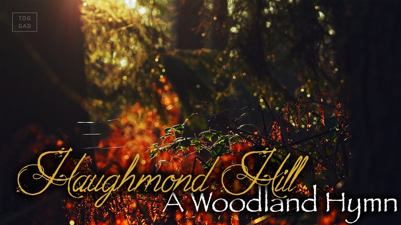 Haughmond Hill &ndash; A Woodland Hymn