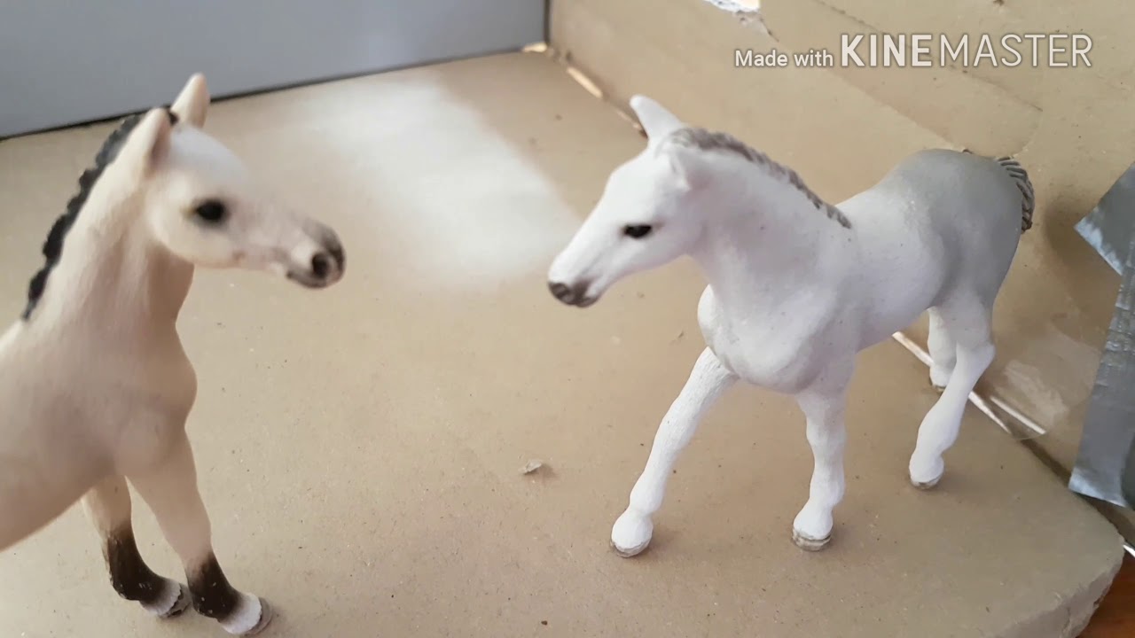 ♡Die Fohlen WG 🐎Folge: 2 Hier kann man nichts Unternehmen!?😒