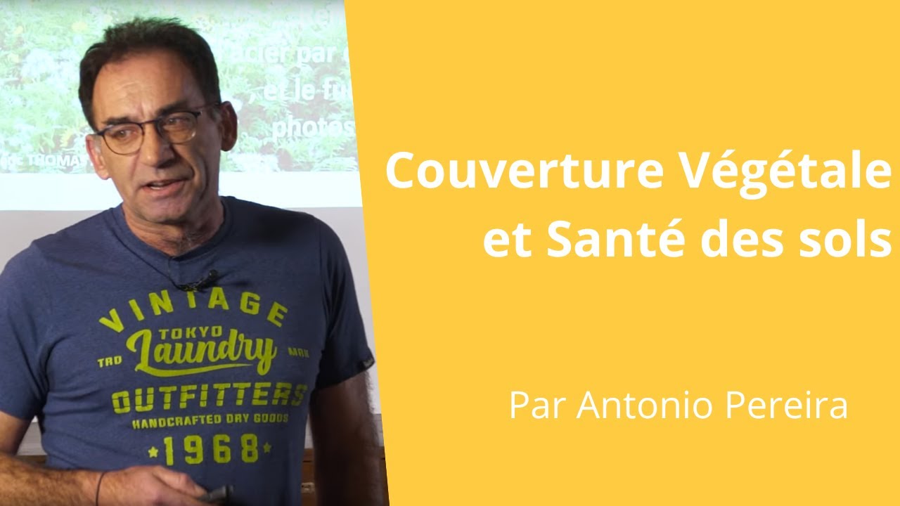 Réussir son couvert végétal en interculture, retours d’essais - partie 2,  Antonio Pereira