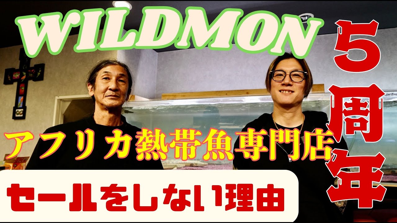 ５周年記念座談会『東アフリカ開拓』ポリプテルス界を盛り上げた店舗の裏話　秘話　＃ポリプテルス　＃ビキール　＃ナイル水系　『わいるどもん』