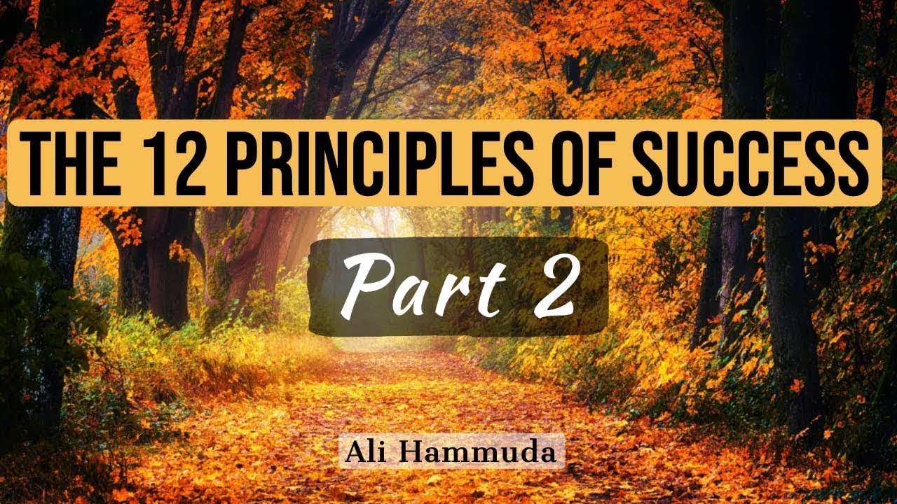 The 12 Principles of Success [Part 2] - Ali Hammuda