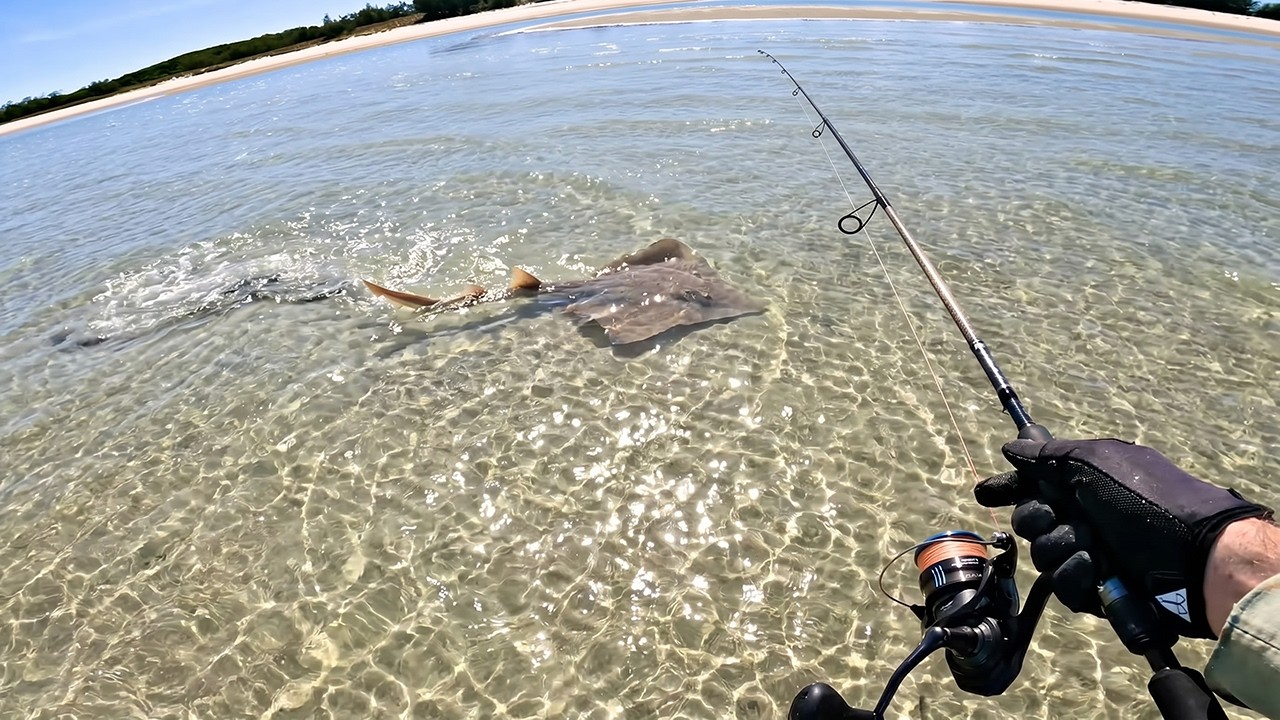 Sharks Attack Me While Fishing...