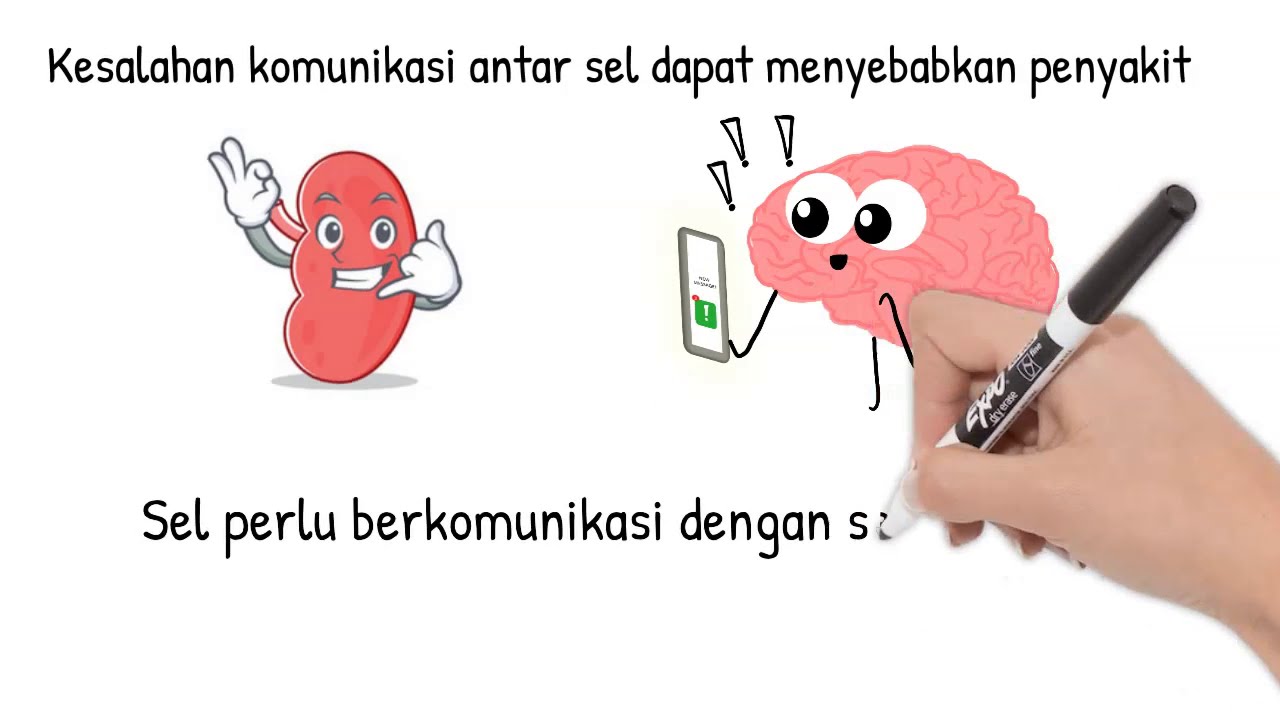 Mengapa kita perlu mempelajari komunikasi antar sel?