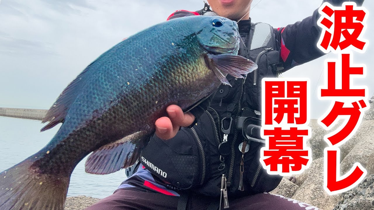 釣れすぎ注意!? 2025年の波止グレを調査した結果…【貝塚人工島】