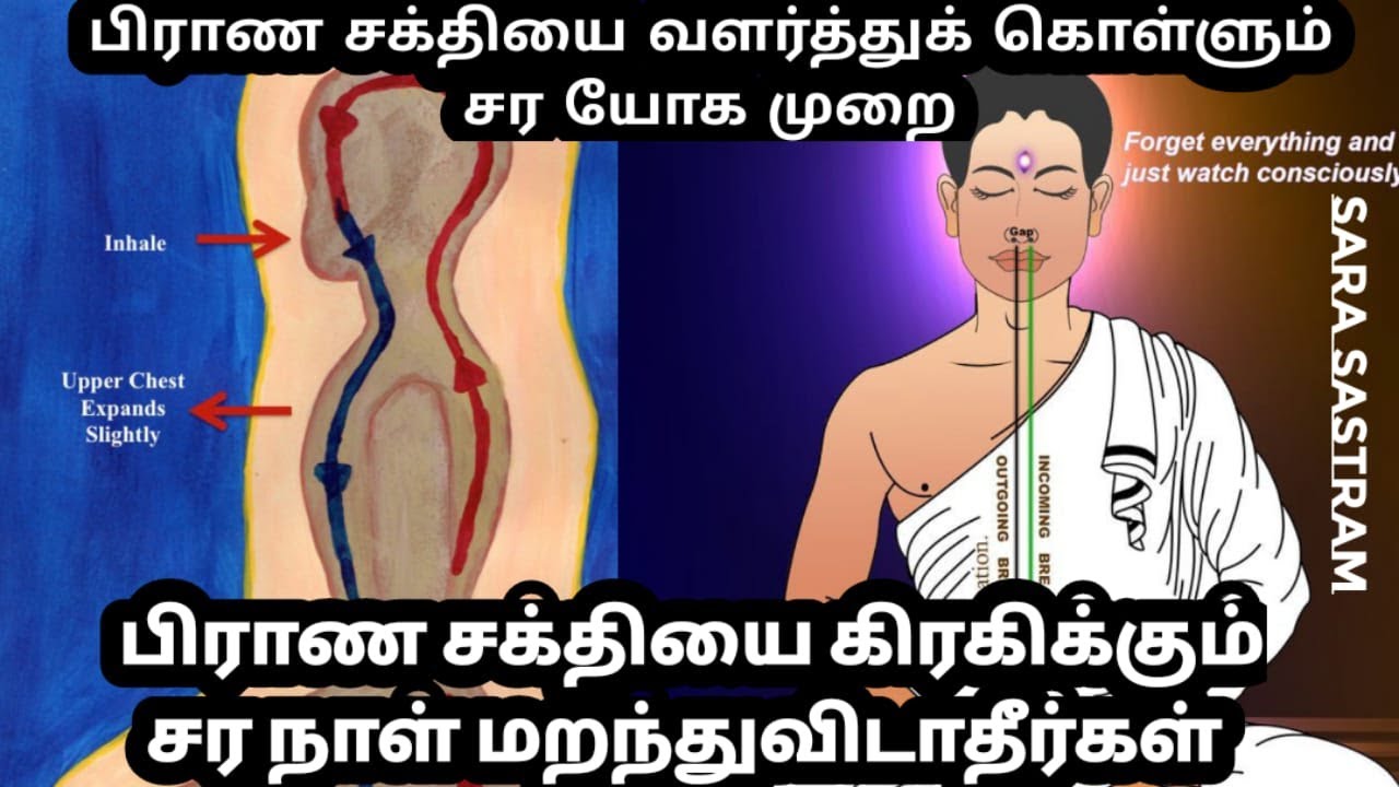 #sarakalai #aura  அதிக பிராண சக்தி தரும் நாளை மறந்துவிடாதீர்கள் சரசாஸ்திர இரகசியம்