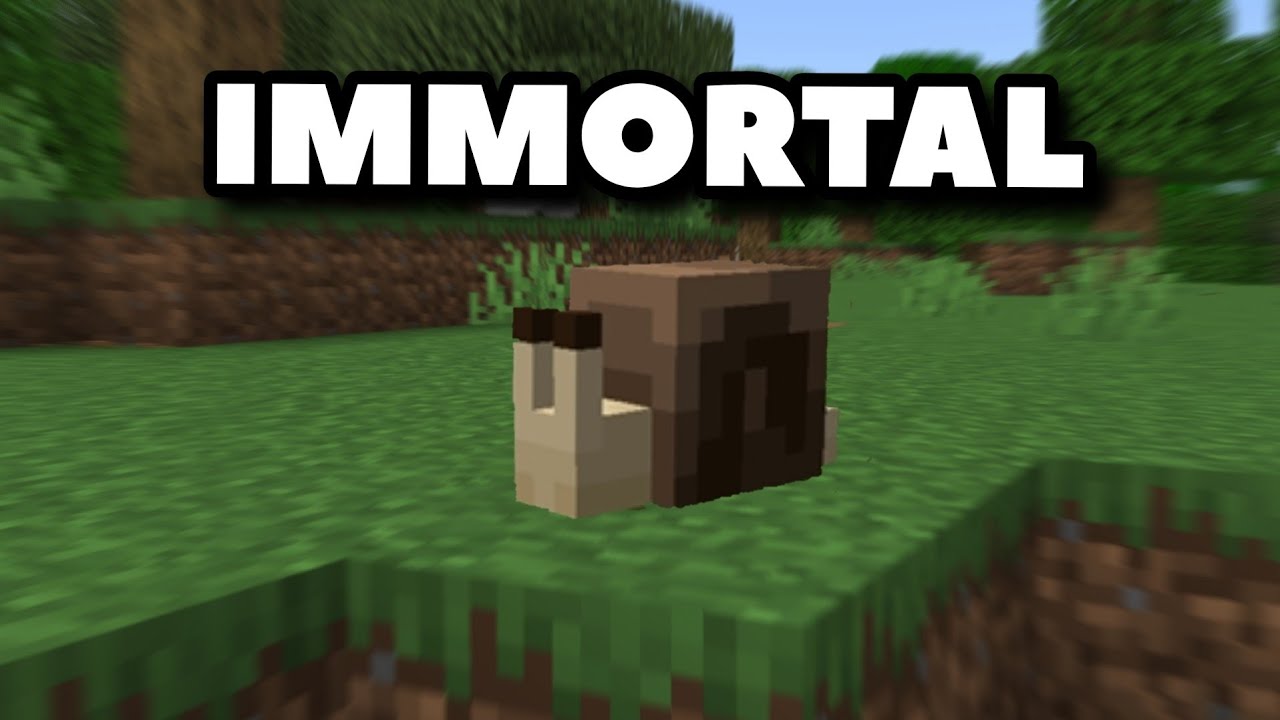 I Was Chased By The Immortal Snail In Minecraft