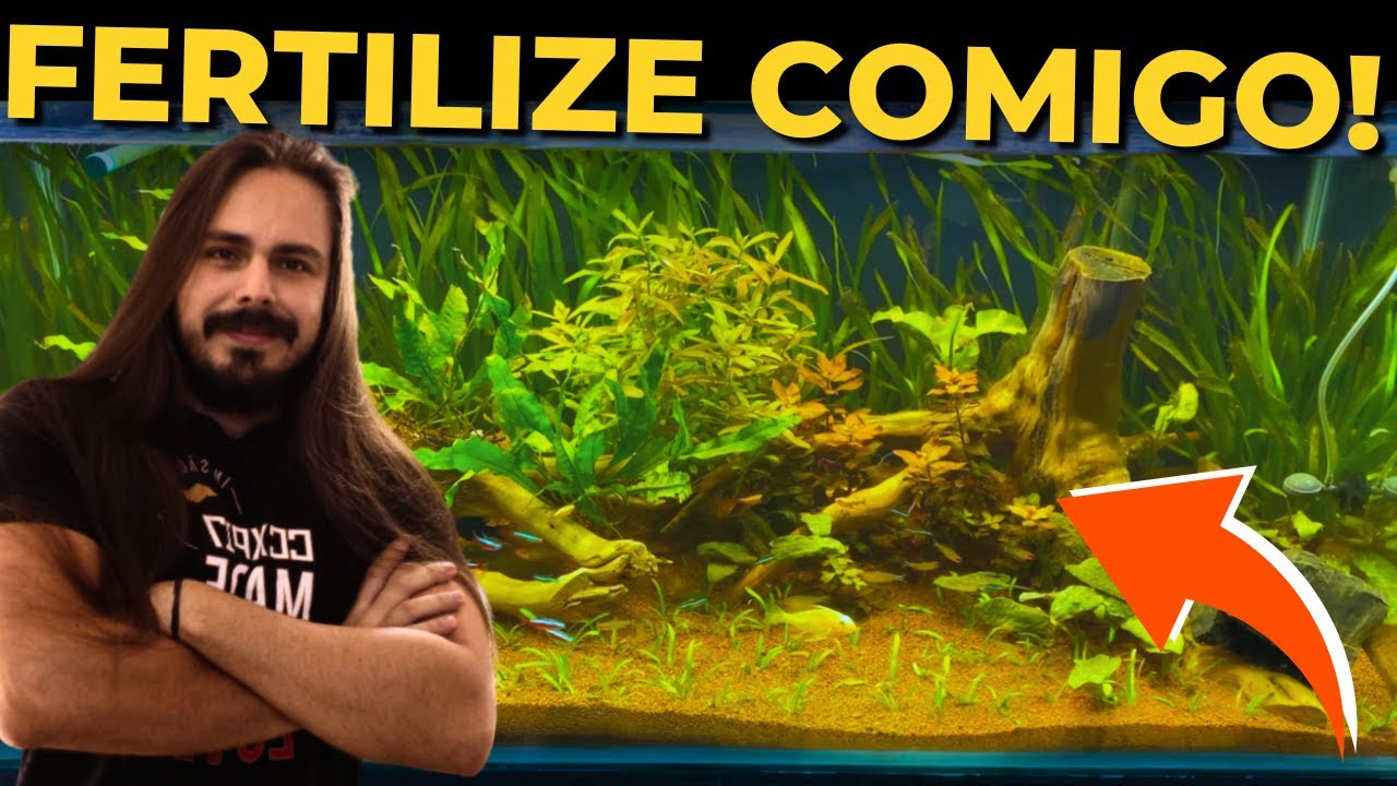 🔴SAIBA COMO FERTILIZAR SEU AQUÁRIO PLANTADO DE UMA VEZ POR TODAS |Mr. Betta|