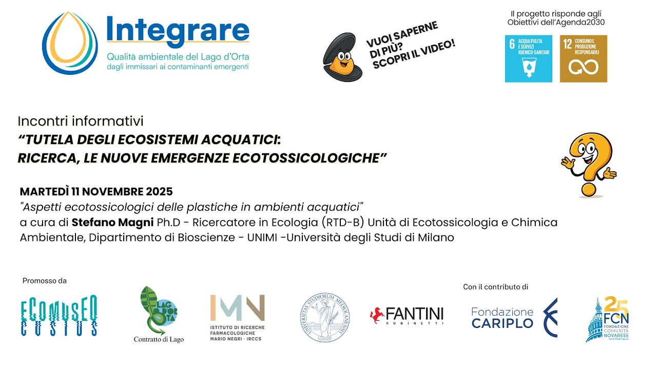 Aspetti ecotossicologici delle plastiche in ambienti acquatici