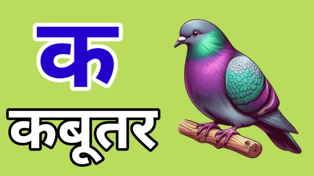 अ से अनार, आ से आम, हिंदी वर्णमाला, अआइईउऊ,क से कबूतर,a se anar,aa se aam, हिंदीस्वरब्यंजन 
