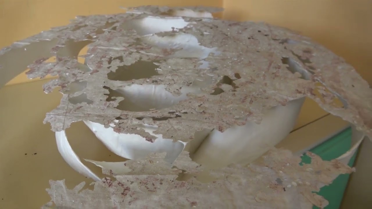 Two years One Building Isabella Loudon Studio Show Marton 9Dec2023