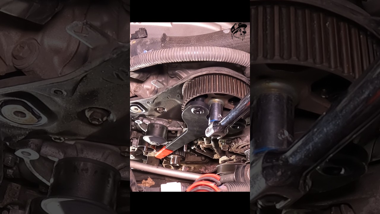 How To Replace Your Camshaft Seals #shorts #howto