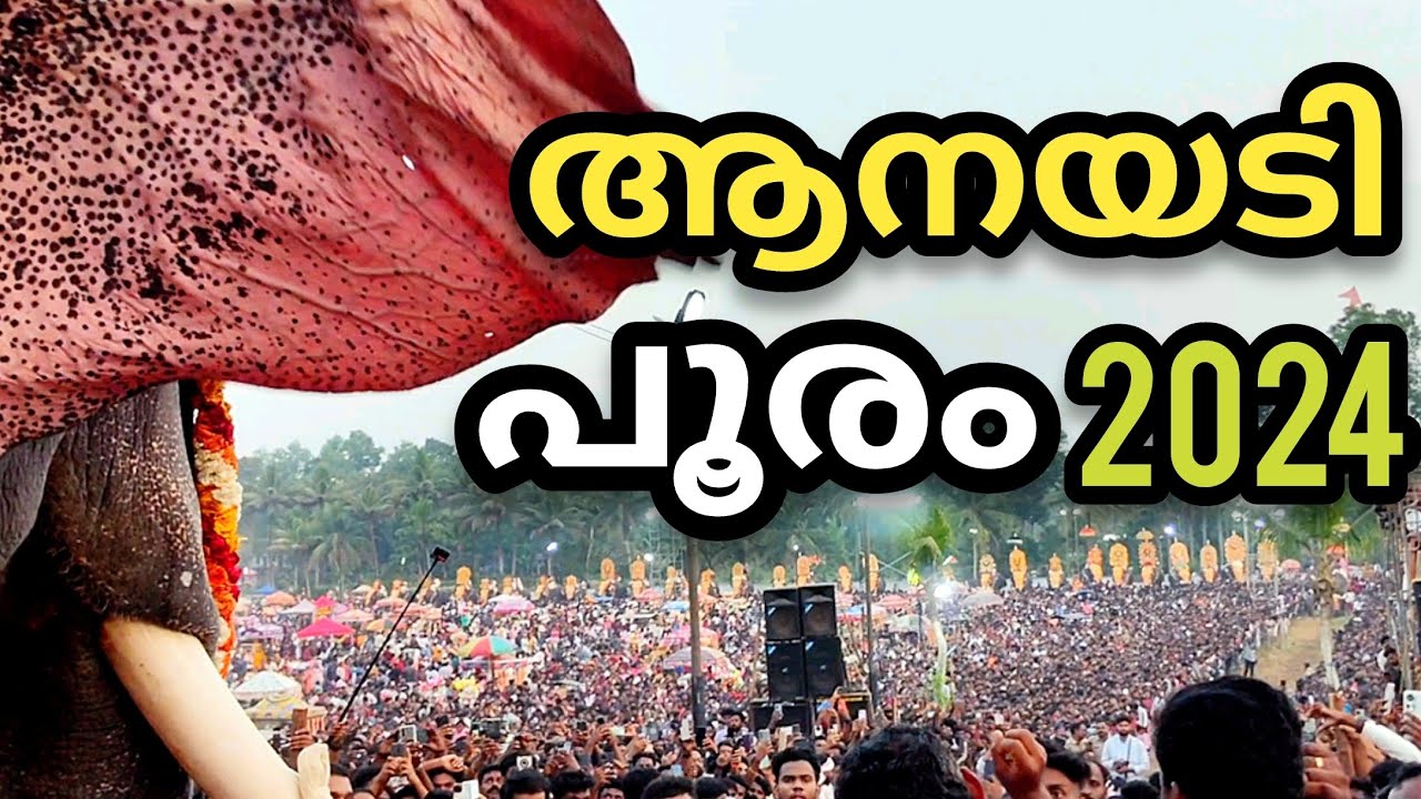 Anayadi Pooram 2024 ആനയടി പൂരം Elephants