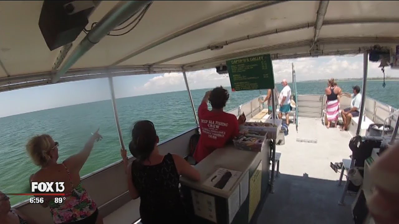 Egmont Key Ferry: Hidden treasure of Tampa Bay