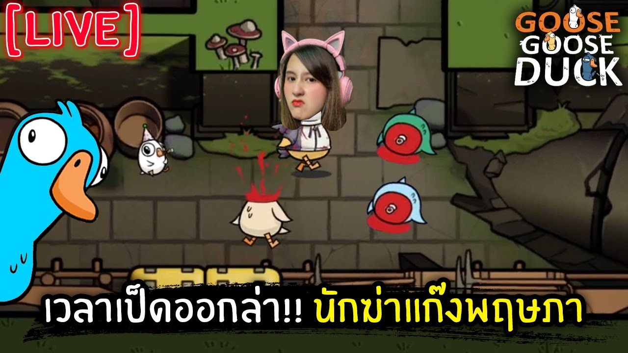 [Live] เวลาเป็ดออกล่า!! นักฆ่าแก๊งค์พฤษภา | Goose Goose Duck