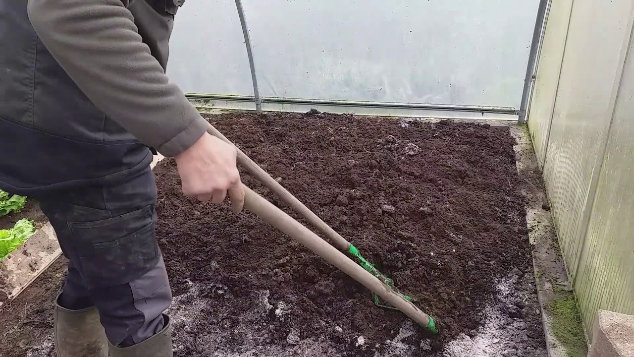Culture de pommes de terre nouvelles en serre : Préparation du terrain à la grelinette