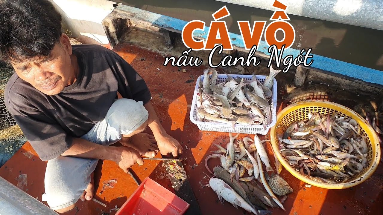 Đánh bắt cá Vồ biển ''Nấu Ngót'' ăn cơm trên ghe | Ngư Dân Miền Tây 