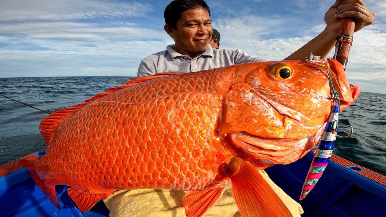 STRIKE IKAN MAHAL IKAN SANGAT LANGKAH