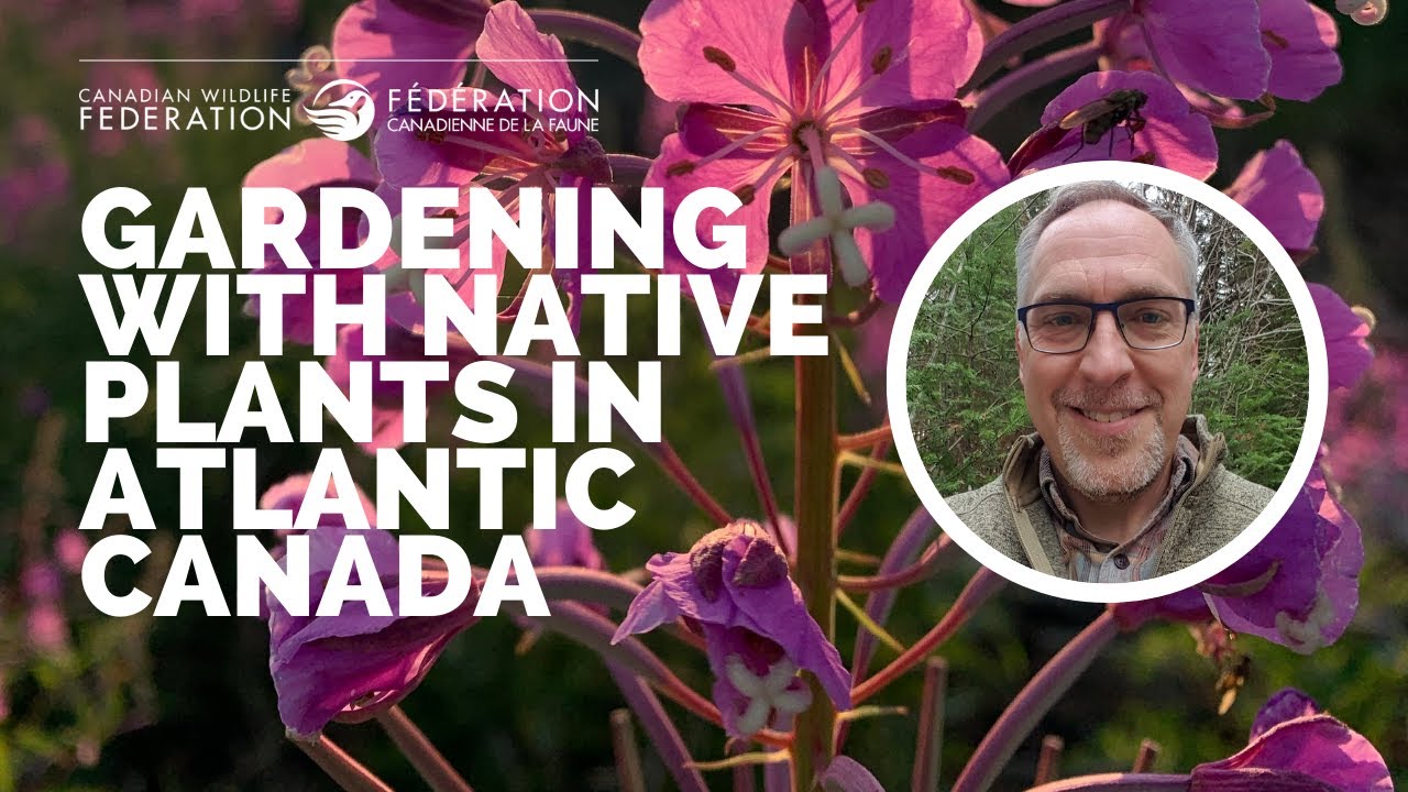 Gardening with Native Plants in Atlantic Canada