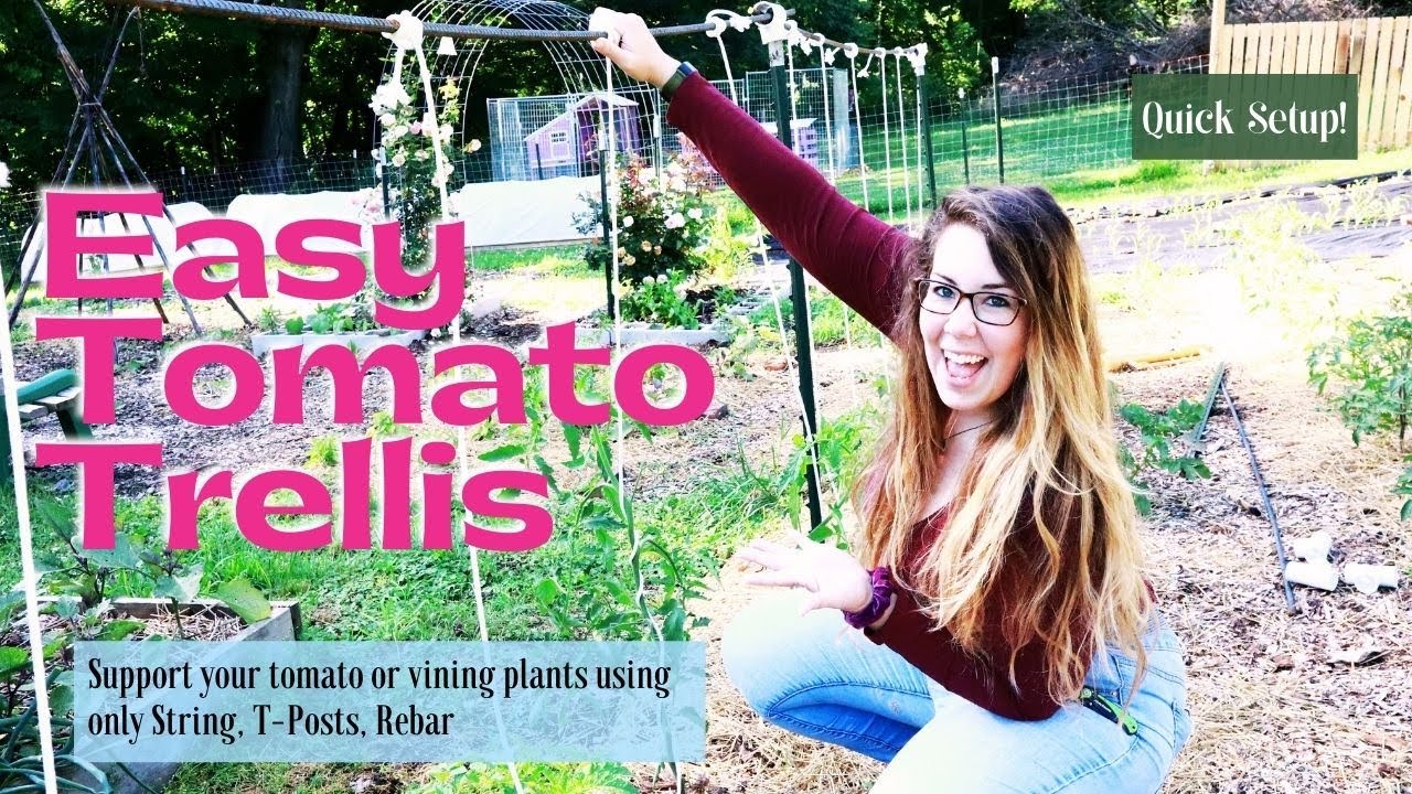 EASY TOMATO TRELLIS | Support your plants with String, T-Posts, Rebar