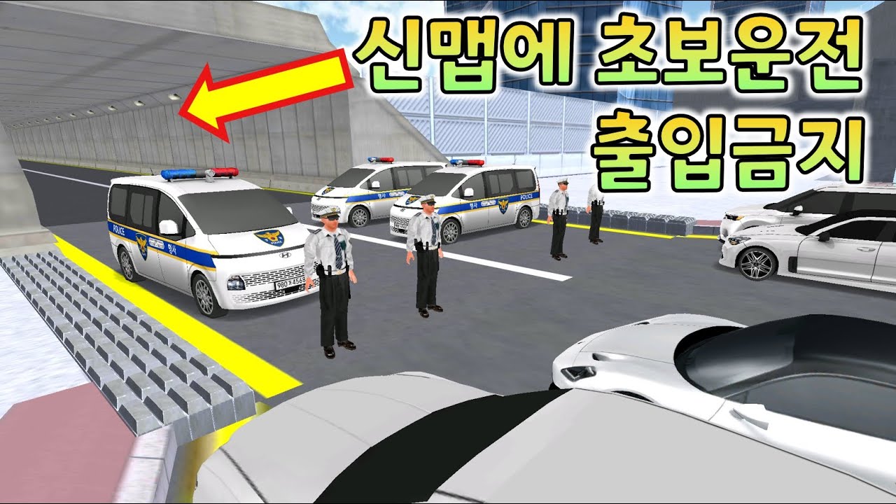 신맵에 초보운전은 못들어가는 이유.