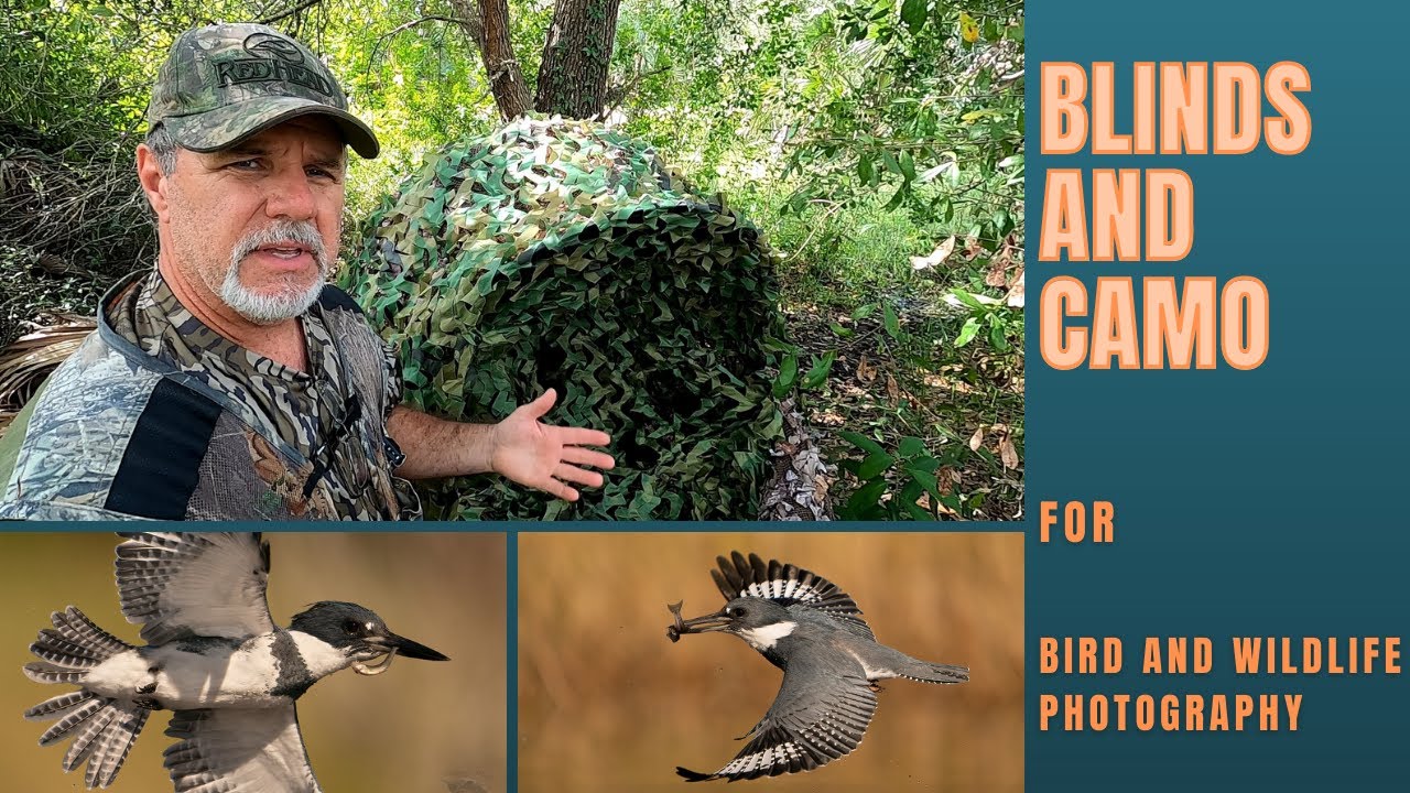 Blinds and Camouflage for Bird and Wildlife Photography