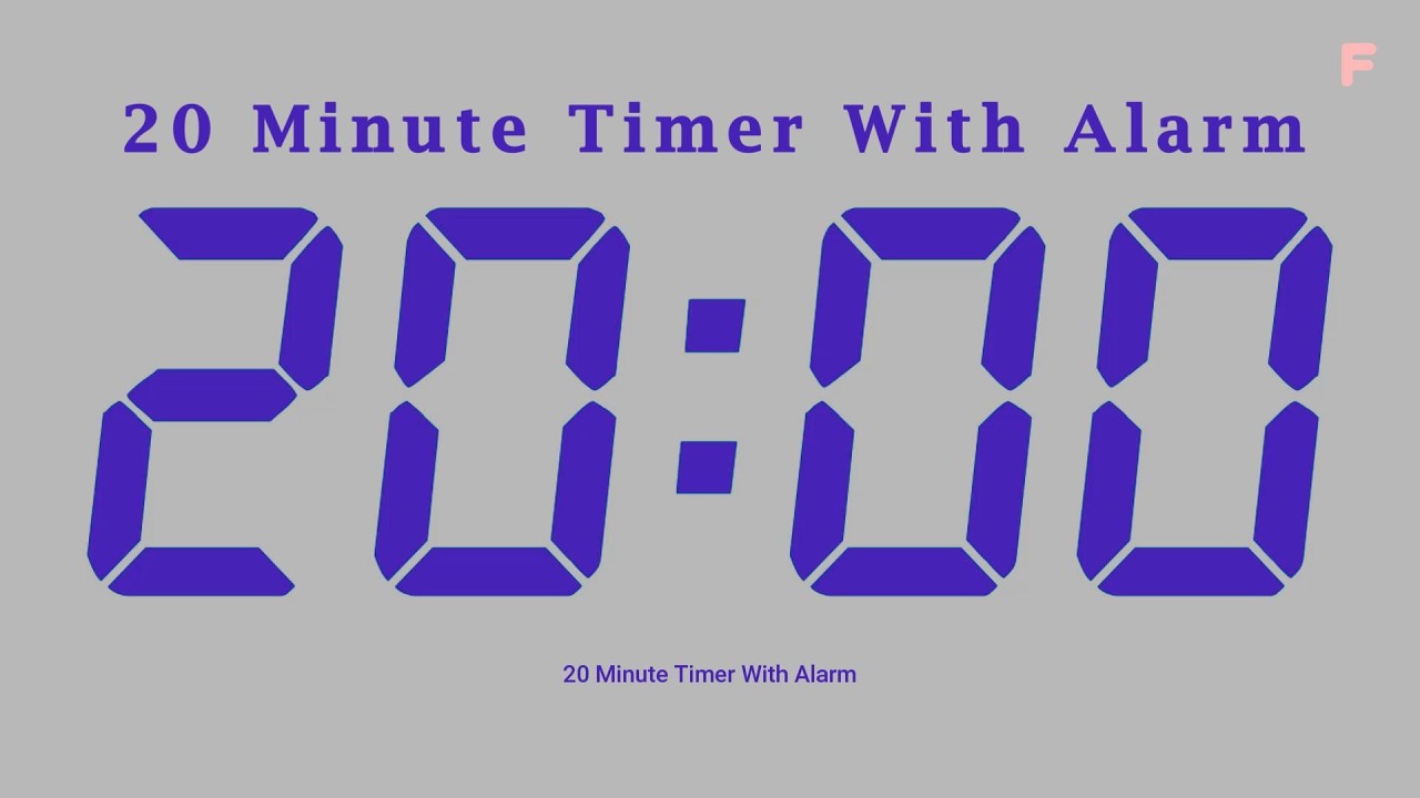 20 Minute Timer With Alarm