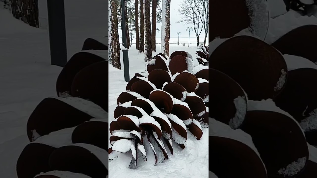 Зімовая казка ў санаторыі &laquo;Сосны&raquo;: іскрысты снег і водар хвоі