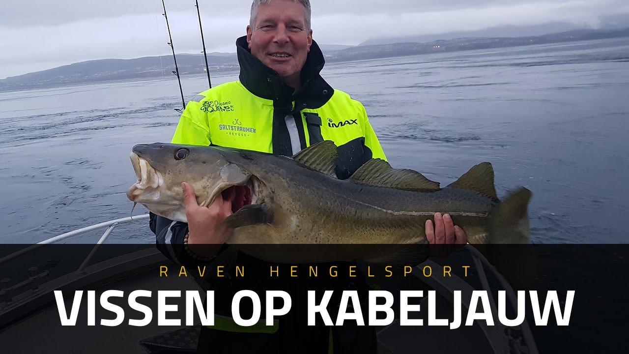KABELJAUW vangen in Noorwegen, hoe moet dat eigenlijk? Noorwegen | Raven Hengelsport