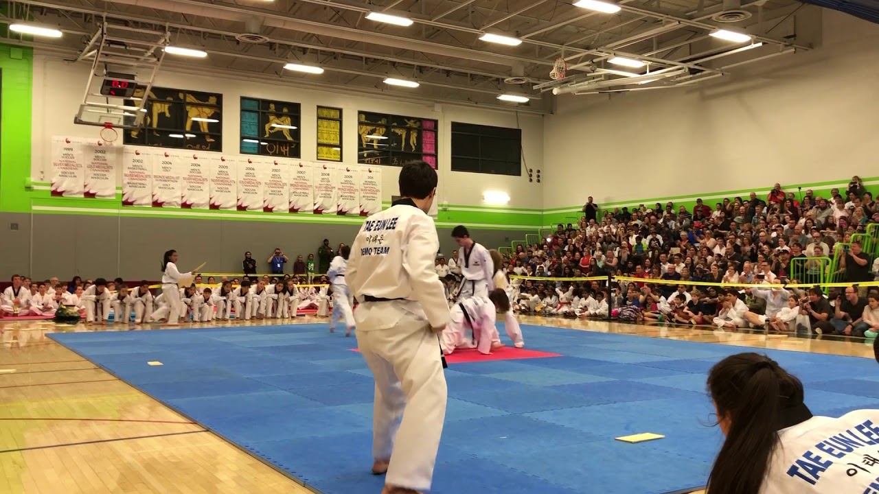 Tae E. Lee - May 2019 Demo