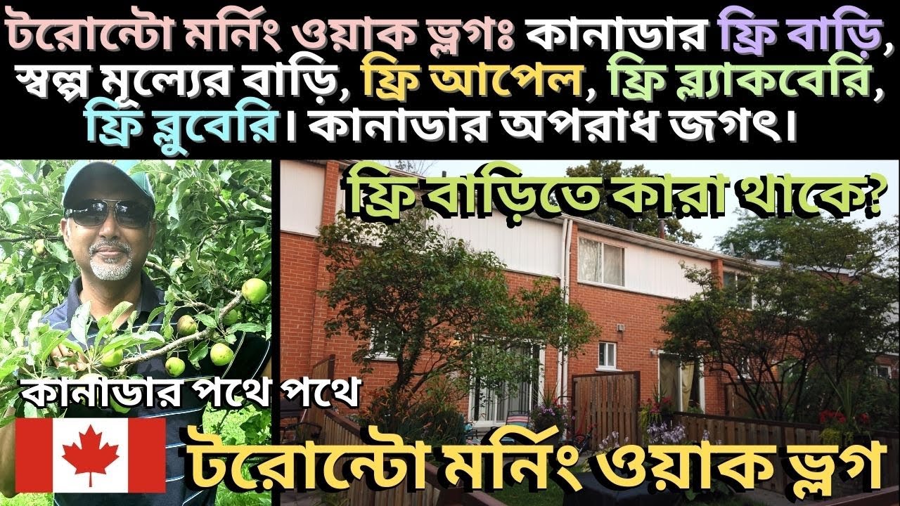 মর্নিং ওয়াক ভ্লগঃ কানাডার ফ্রি বাড়ি, সস্তা বাড়ি, ফ্রি আপেল,  ফ্রি ব্ল্যাকবেরি, ব্লুবেরি। অপরাধ জগৎ।