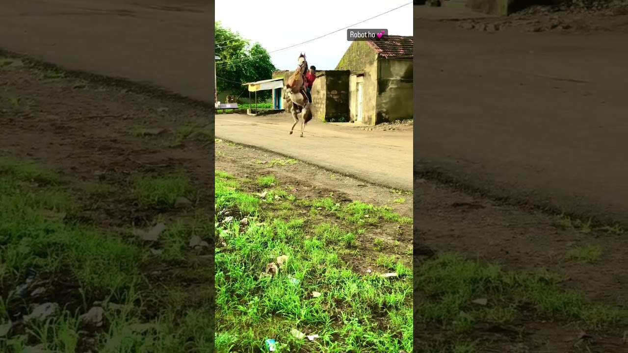 robot horse 🐎 #horsevlog #kathiyawarihorse #horselover