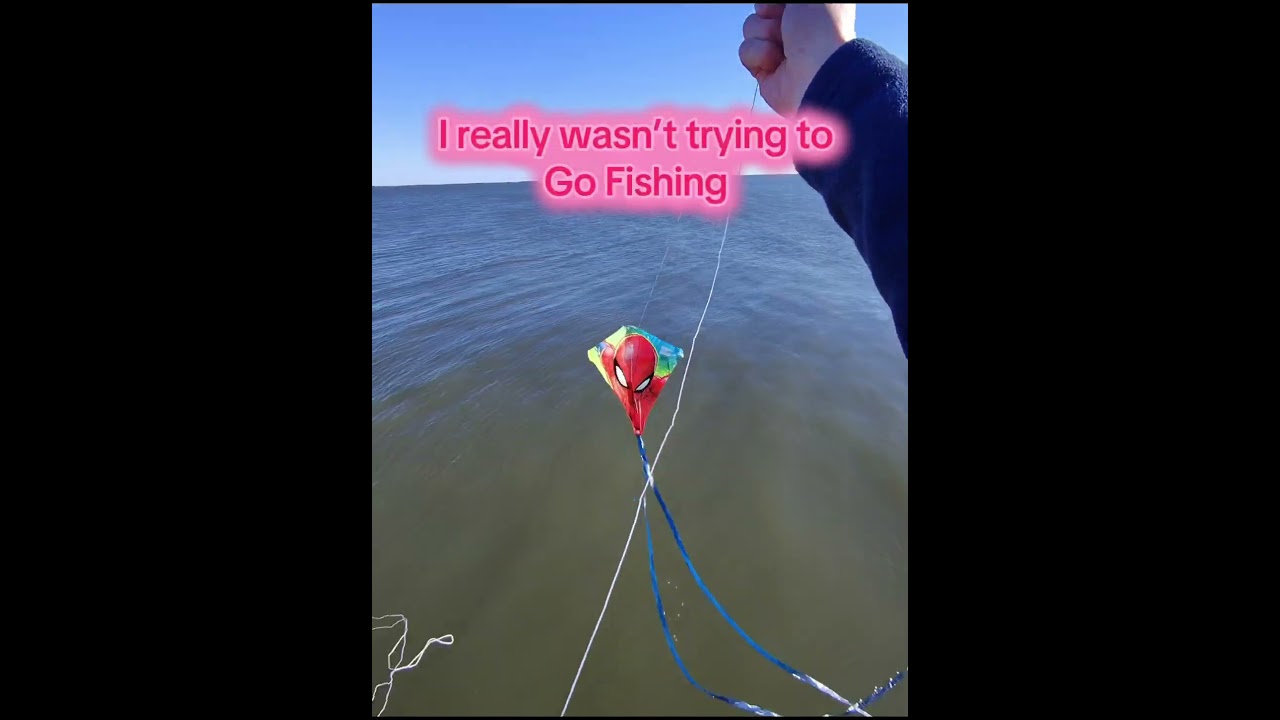 I was flying my kite yesterday when whoosh &ndash; it dove right into the water. #fishing #kite #wind
