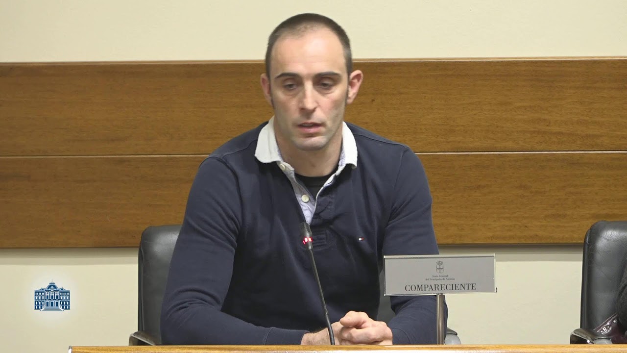 Comisión de Investigación sobre el accidente en la mina de Cerredo (III)