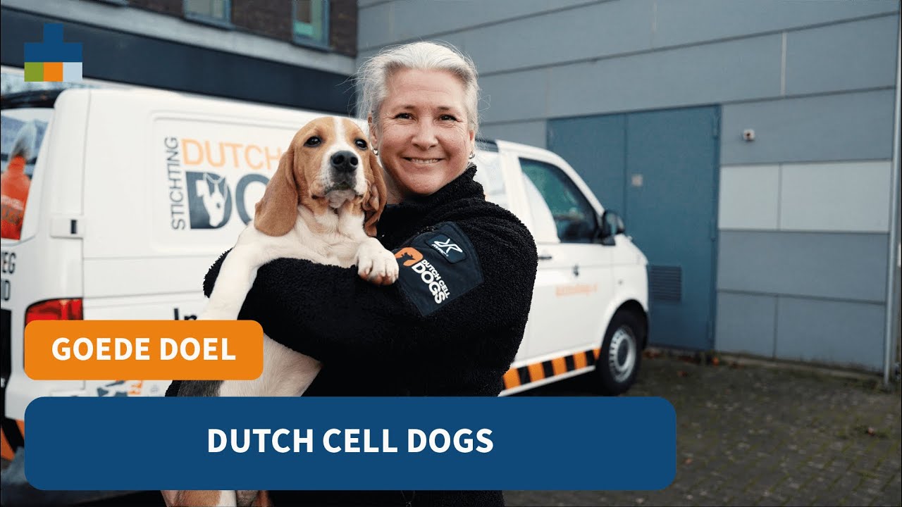 Dikke Dankjewel Dag | Dutch Cell Dogs
