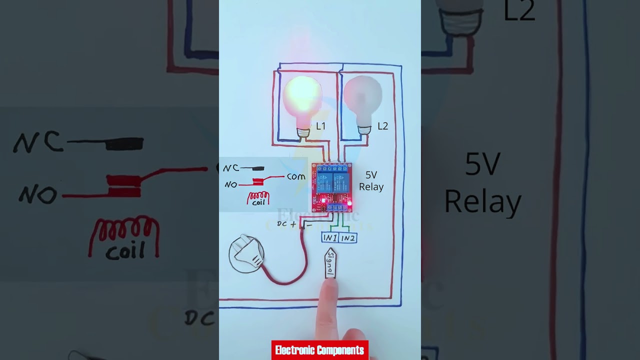 2 Channel Relay Module Signal Simulation without Arduino #shots