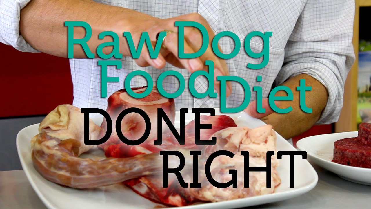 How To Do the Raw Dog Food Diet Right