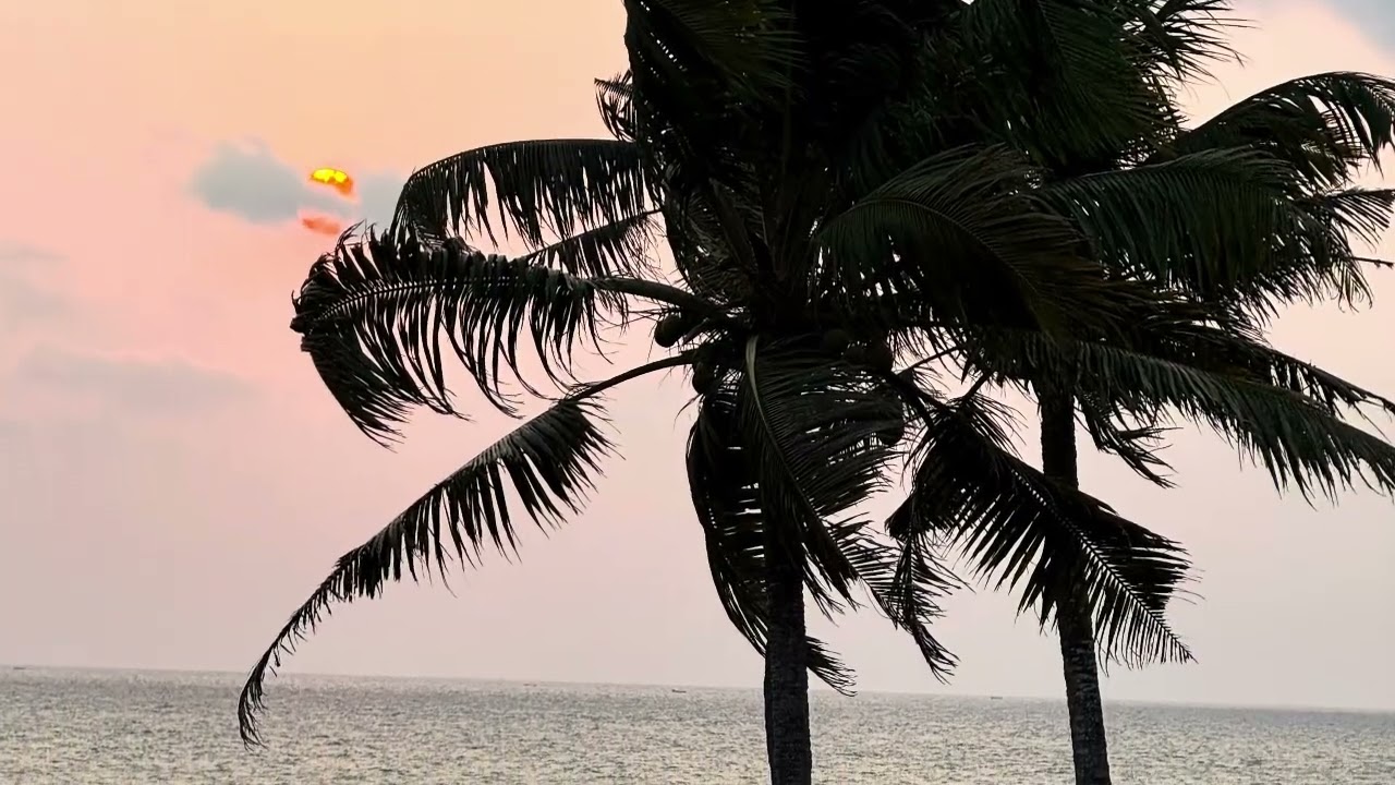 Day 42 Odayam Beach & Farewell India 24 February 2026