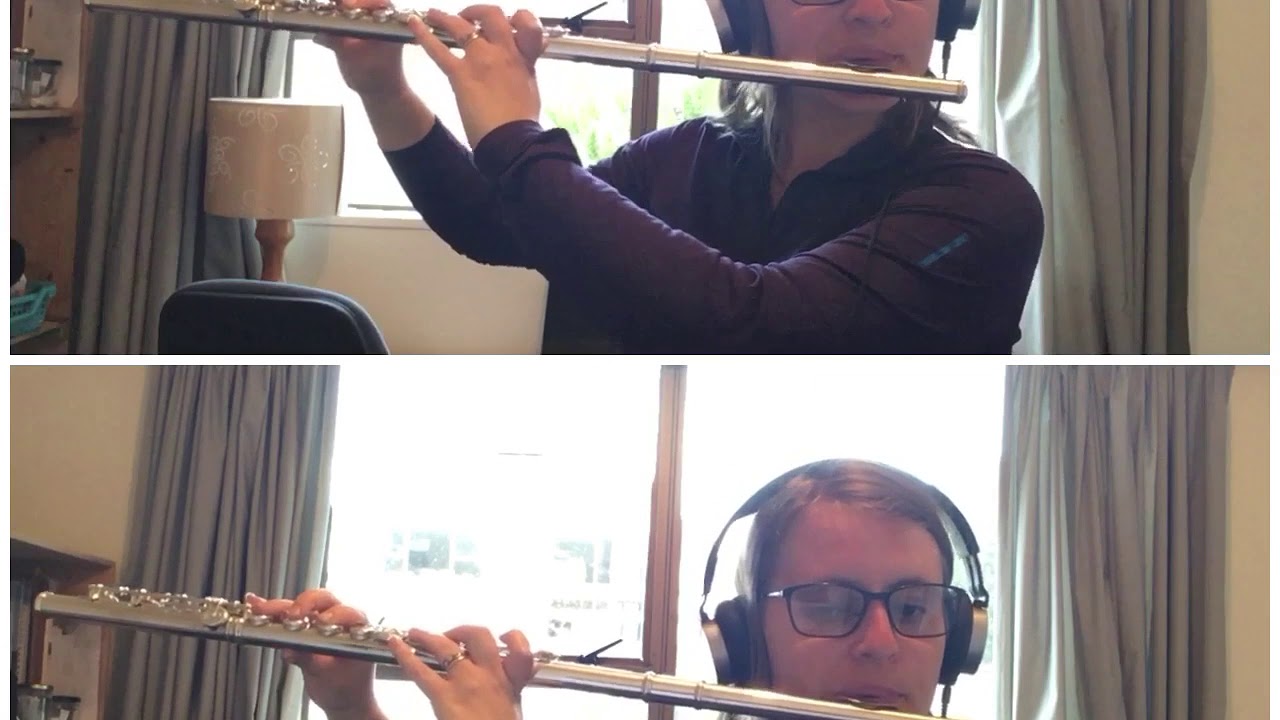 Fly me to the moon- jazz flute duet