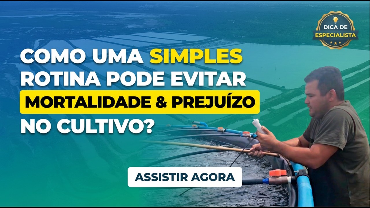 Como uma simples rotina pode evitar mortalidade e prejuízo no cultivo?