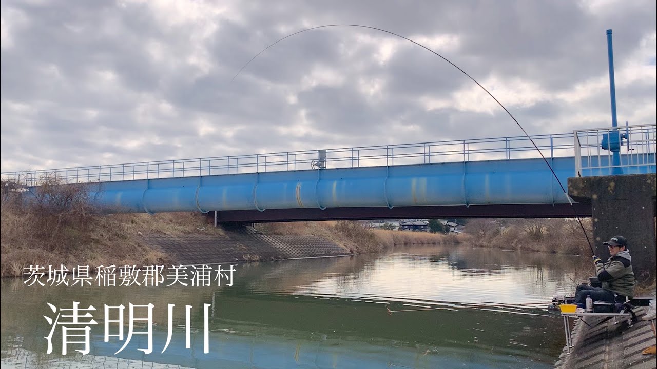 春の乗っ込みとこれから上調子になる予定の釣り場でへらぶな釣り