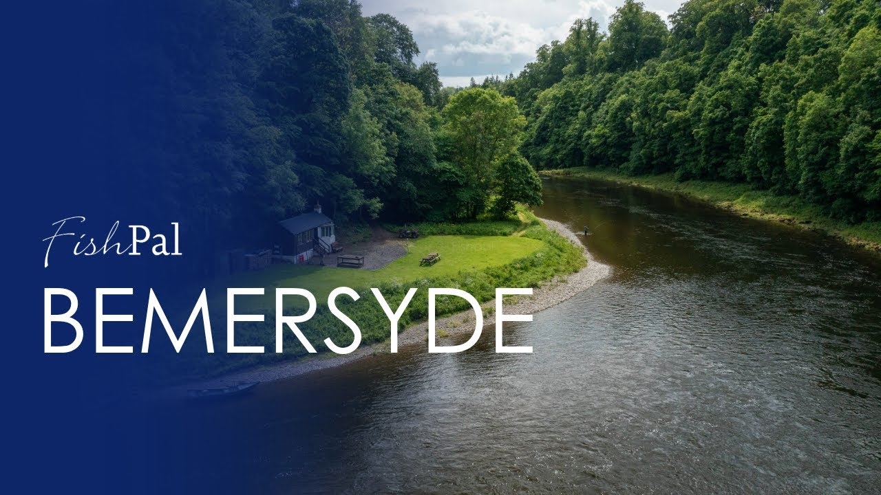 Bemersyde Fishery: Exclusive Salmon Fishing on the River Tweed