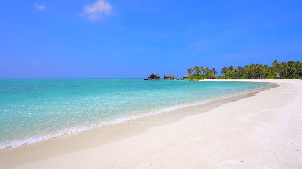 Paradise Found: Ocean and Wild Beach! Maldives 4K ULTRA HD