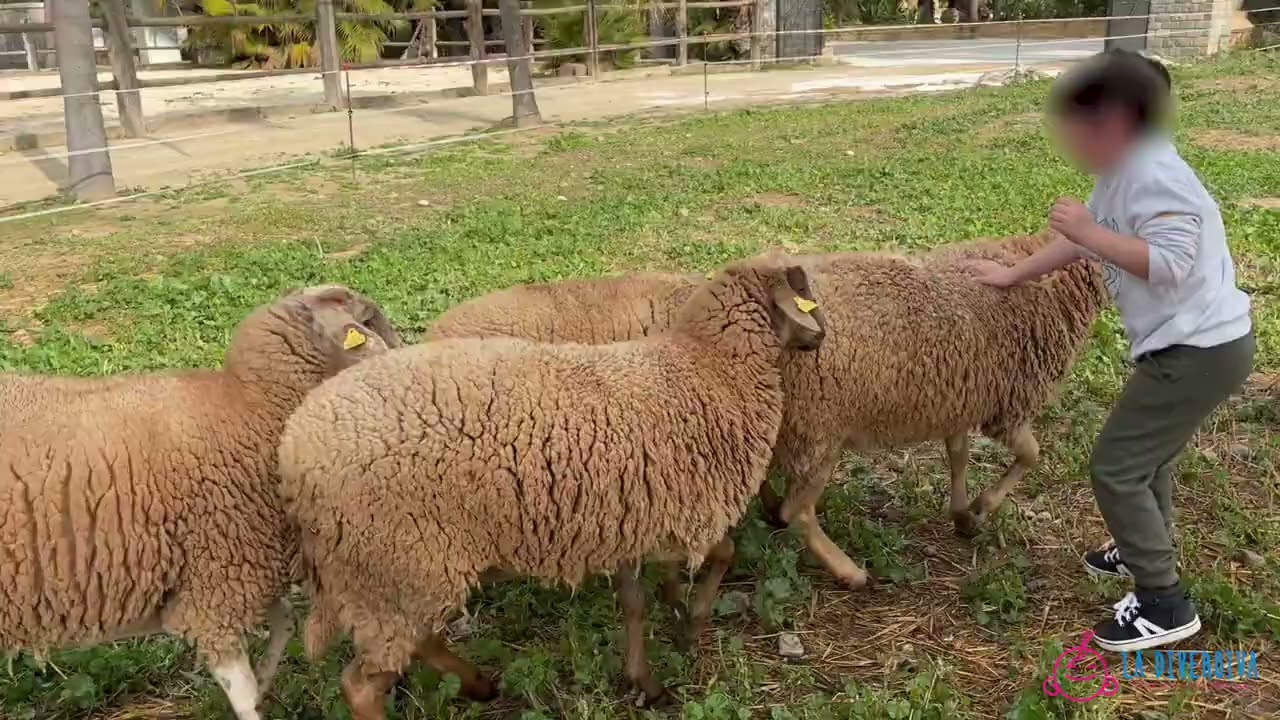 Granja Escuela El Pato en Málaga