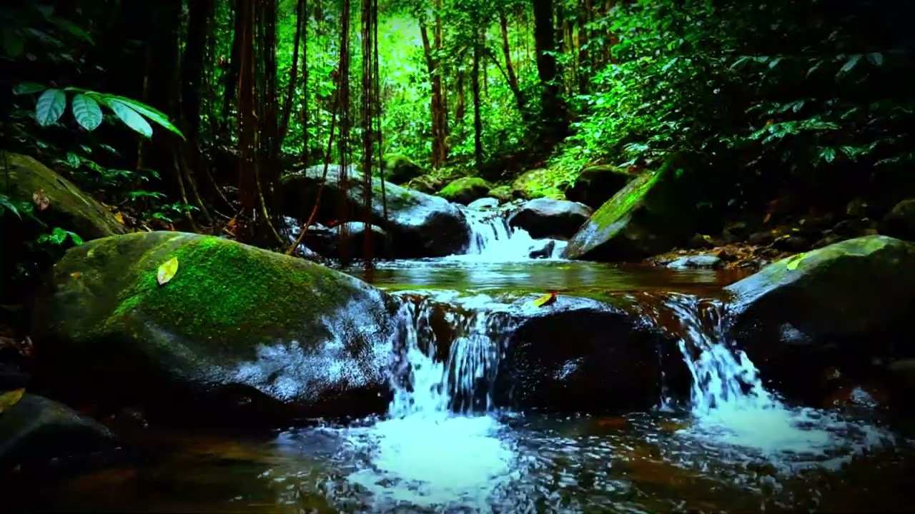 River ASMR – Gentle Flow for Deep Relaxation